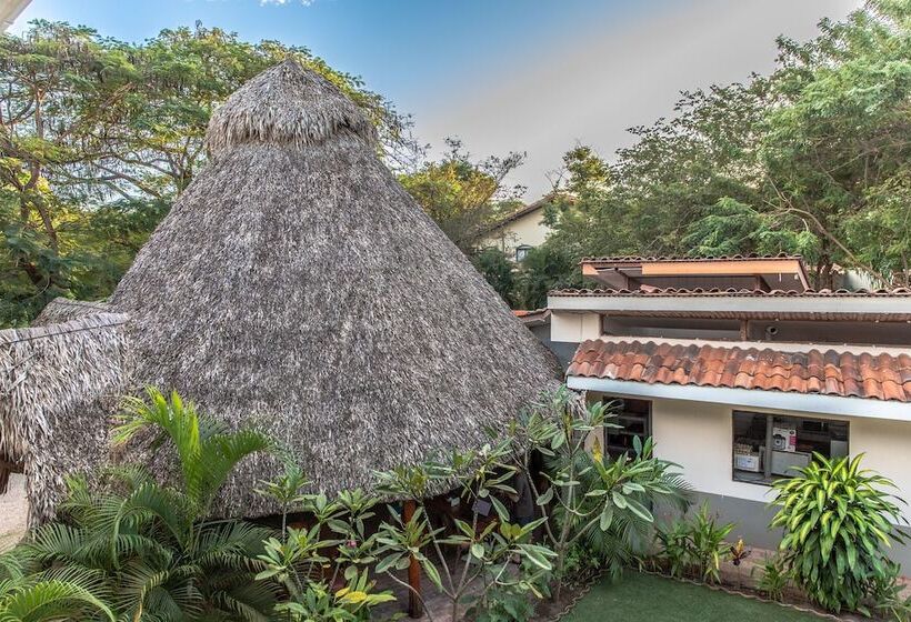 فندق Palm Beach Inn