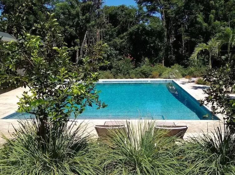 Hotelli Palm Beach Inn