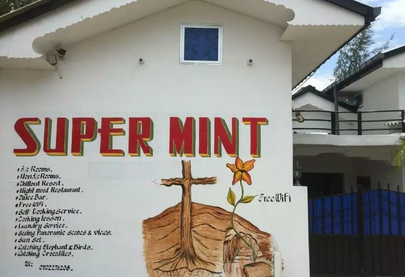 Pensió Super Mint