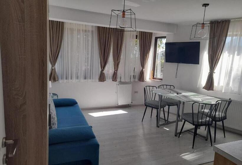 פנסיון Casa Morarului