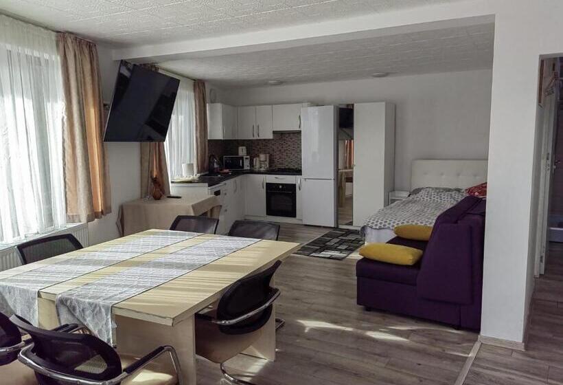 פנסיון Casa Morarului