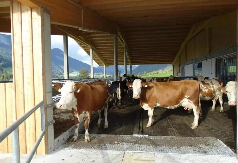 Pension Schusterhof