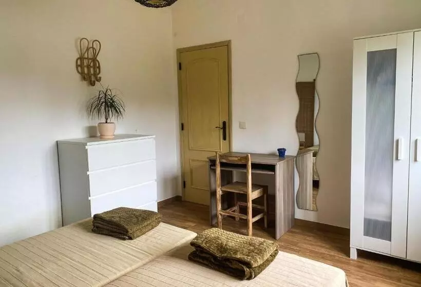 ユースホステル Pachamama Surfhouse Surf&yoga