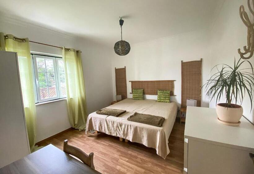 Общежитие Pachamama Surfhouse Surf&yoga