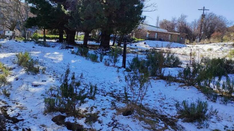 فندق Den Hagen Guest Farm