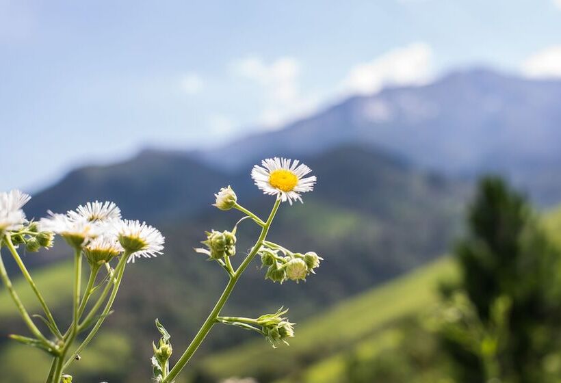 פנסיון Chalés Existe Um Lugar