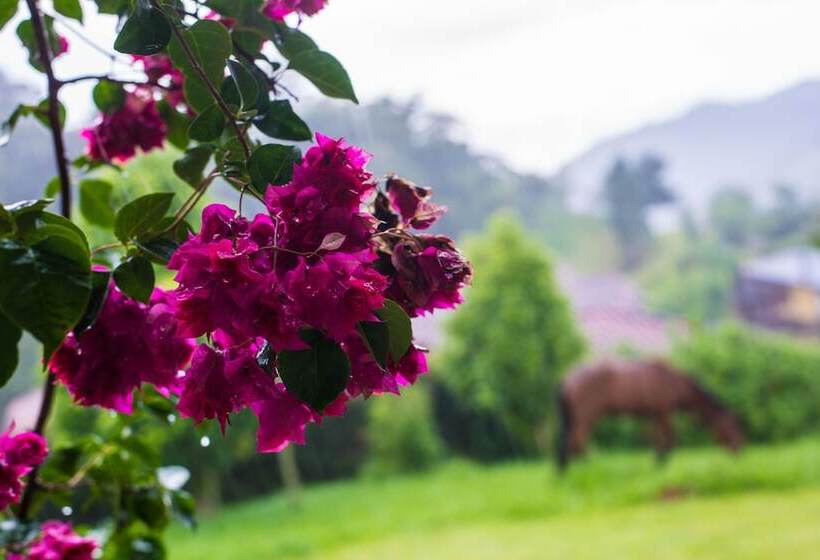 פנסיון Chalés Existe Um Lugar