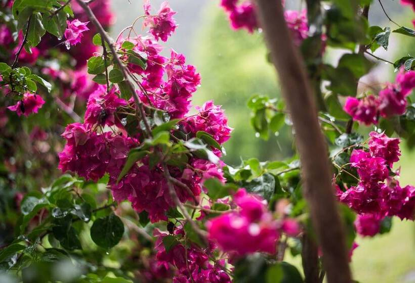 פנסיון Chalés Existe Um Lugar