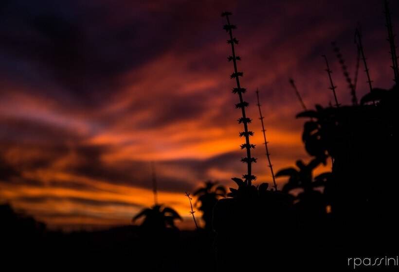 פנסיון Chalés Existe Um Lugar