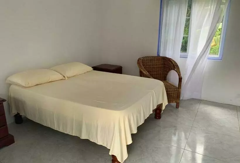 پانسیون Robin Hood Guest House