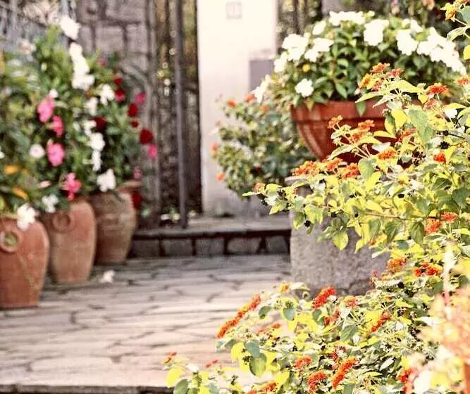 تختخواب و صبحانه Cavalluccio Marino