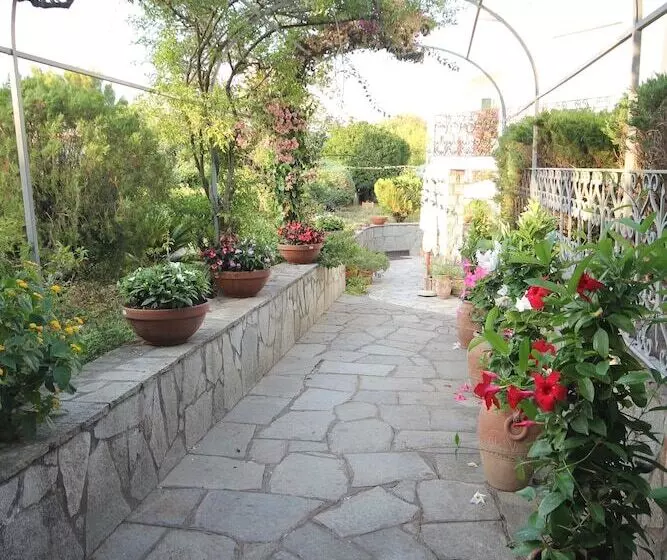 تختخواب و صبحانه Cavalluccio Marino