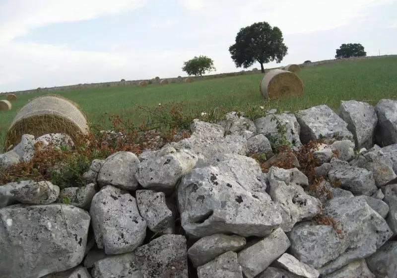 تختخواب و صبحانه Le Coccinelle