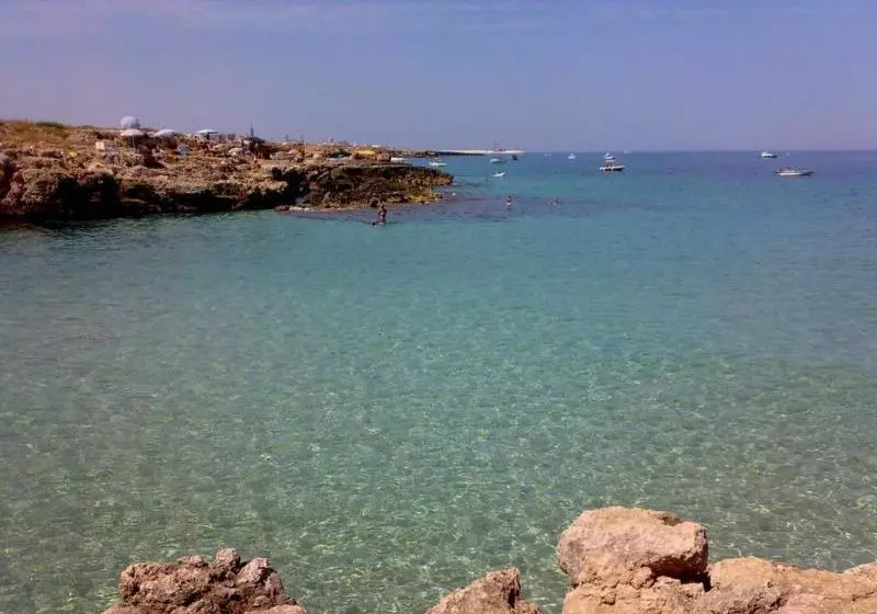 تختخواب و صبحانه Le Coccinelle