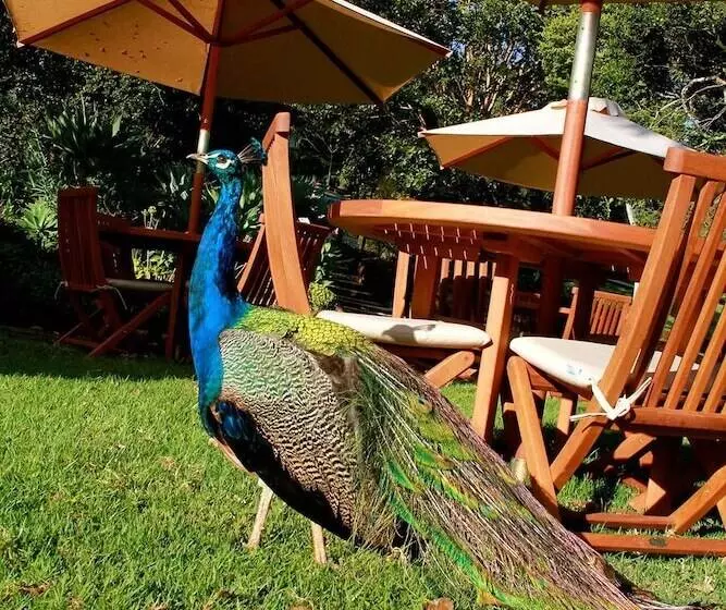 هتل Aberdare Country Club