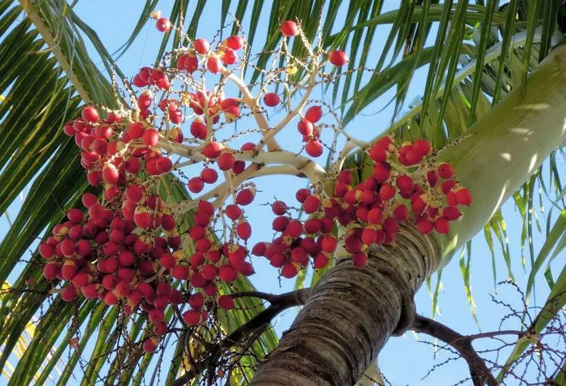 هتل Villa Azzurra