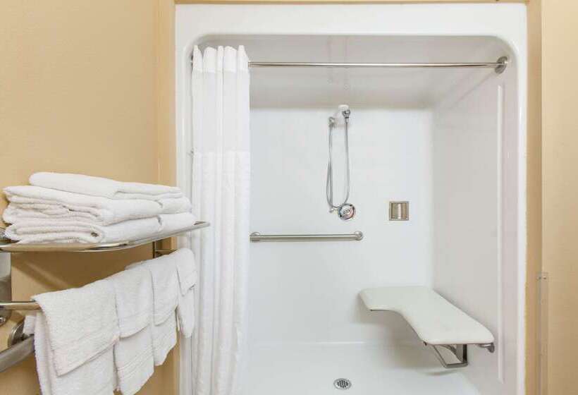 Microtel Inn By Wyndham Rogers