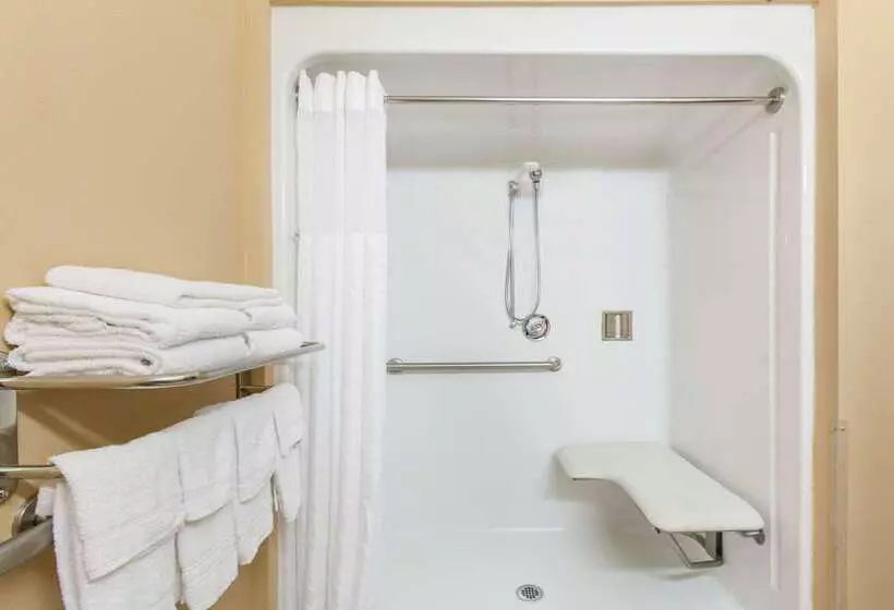 Microtel Inn By Wyndham Rogers