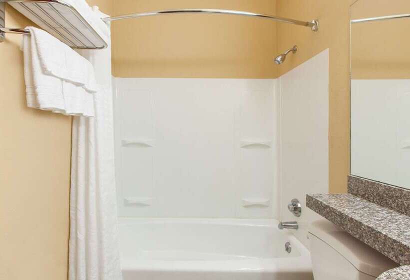 Microtel Inn By Wyndham Rogers