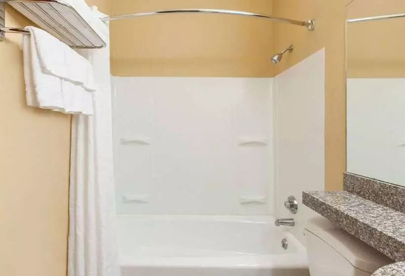 Microtel Inn By Wyndham Rogers