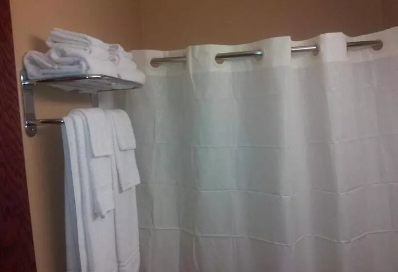 Microtel Inn By Wyndham Rogers