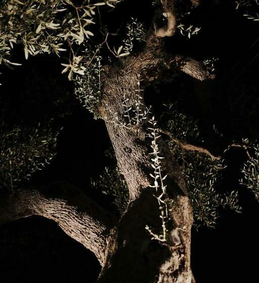 צימר Almasol Charme Experience