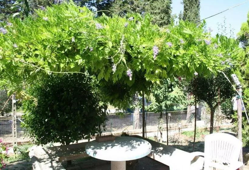 B&b Al Frantoio