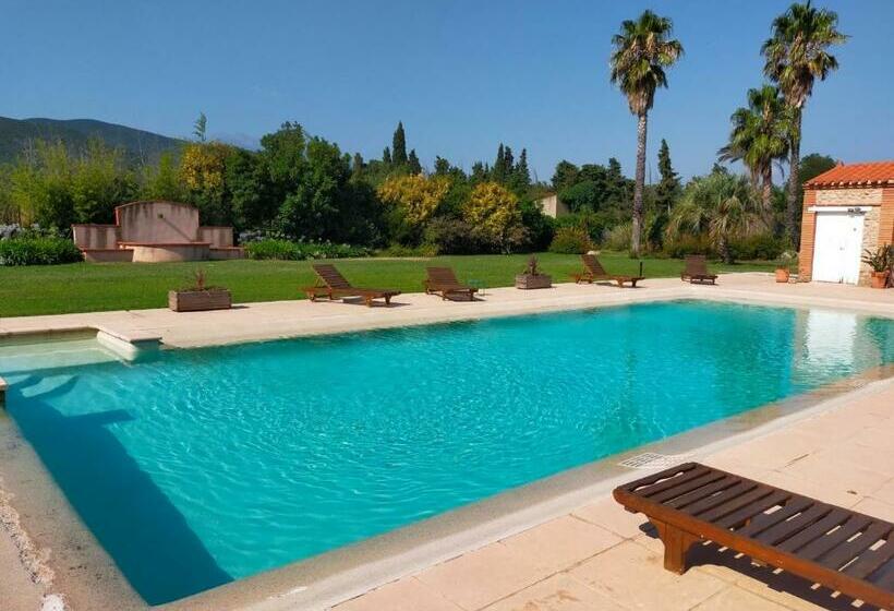 צימר Mas Tramontane Chambres D Hôtes Et Studio Avec Piscine Dans Parc Arboré