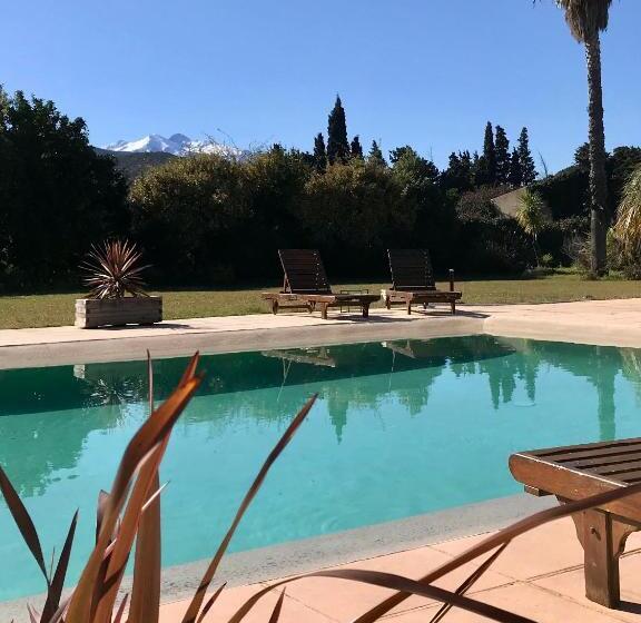 צימר Mas Tramontane Chambres D Hôtes Et Studio Avec Piscine Dans Parc Arboré