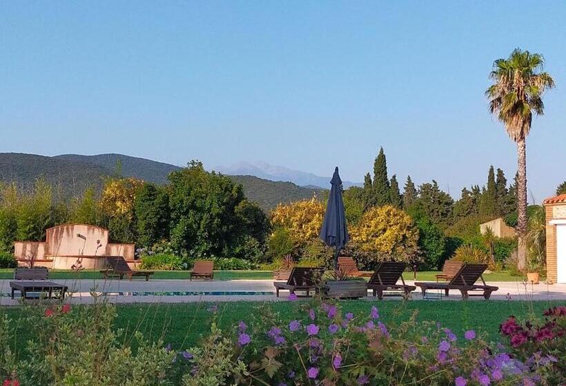 צימר Mas Tramontane Chambres D Hôtes Et Studio Avec Piscine Dans Parc Arboré
