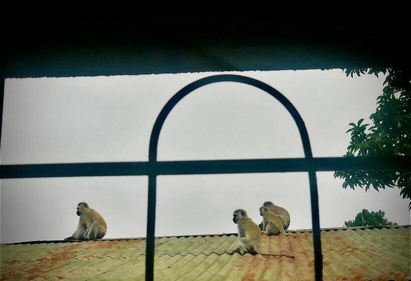 تختخواب و صبحانه Safariadventures House