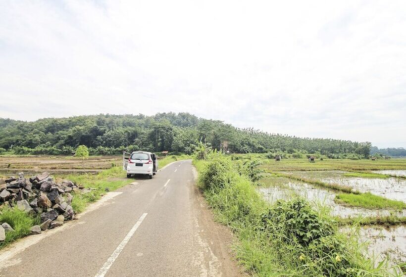 فندق Oyo Homes 91155 Desa Wisata Selamanik Ciamis