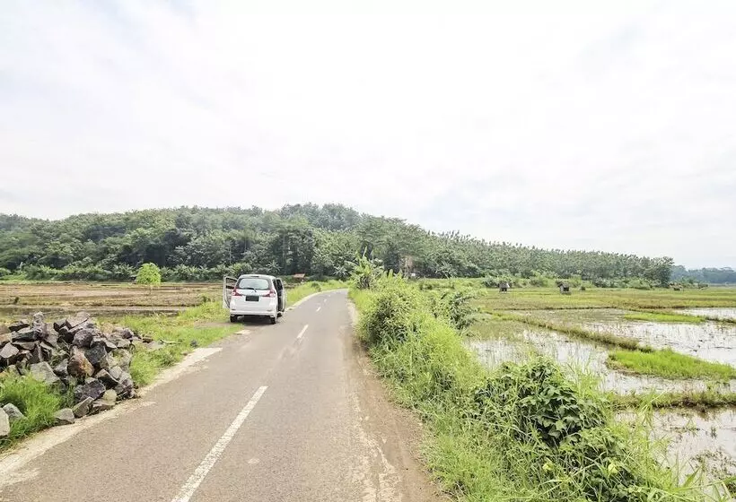 Hotelli Oyo Homes 91155 Desa Wisata Selamanik Ciamis