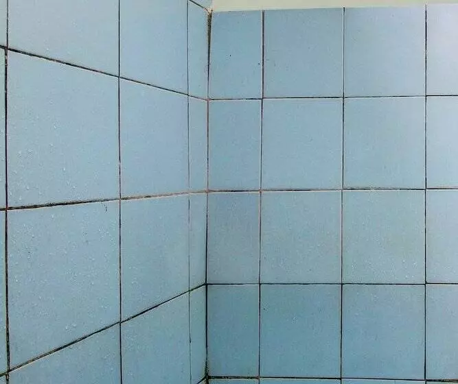 Hotelli Oyo Homes 91155 Desa Wisata Selamanik Ciamis