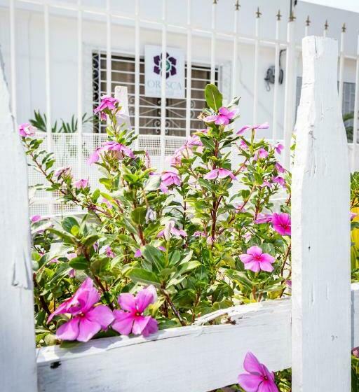 پانسیون Oresca Hostel