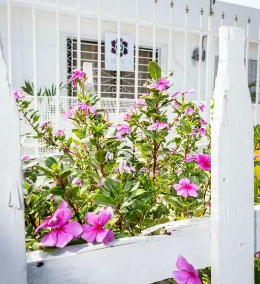 ペンション Oresca Hostel