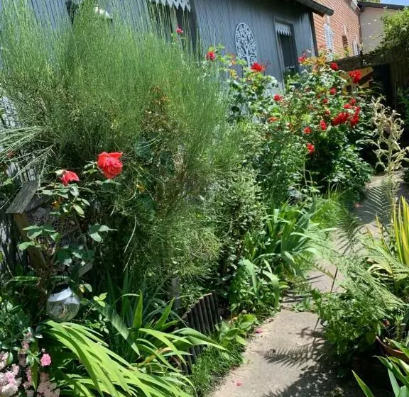 Aamiaismajoitus (B&B) Dom’s Garden