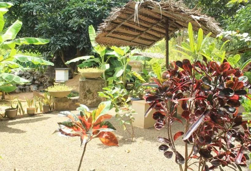 Chandi Relax Hostel