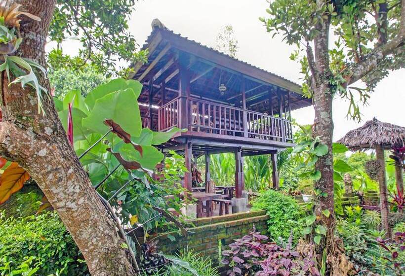 호텔 Oyo Homes 91091 Desa Wisata Umejero