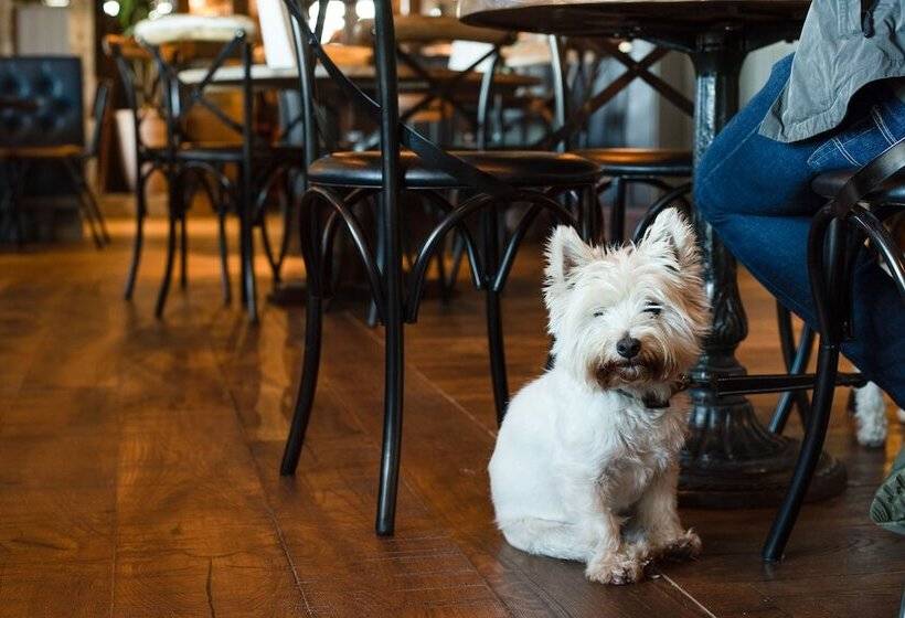 فندق The Northallerton Inn   The Inn Collection Group