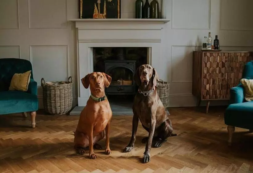 Aamiaismajoitus (B&B) Dacre House, Gilsland