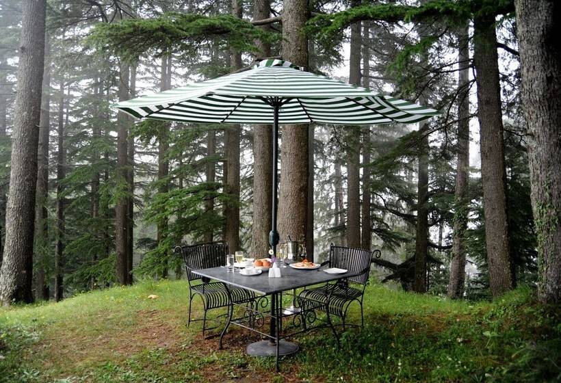 渡假胜地  Aamod Dalhousie