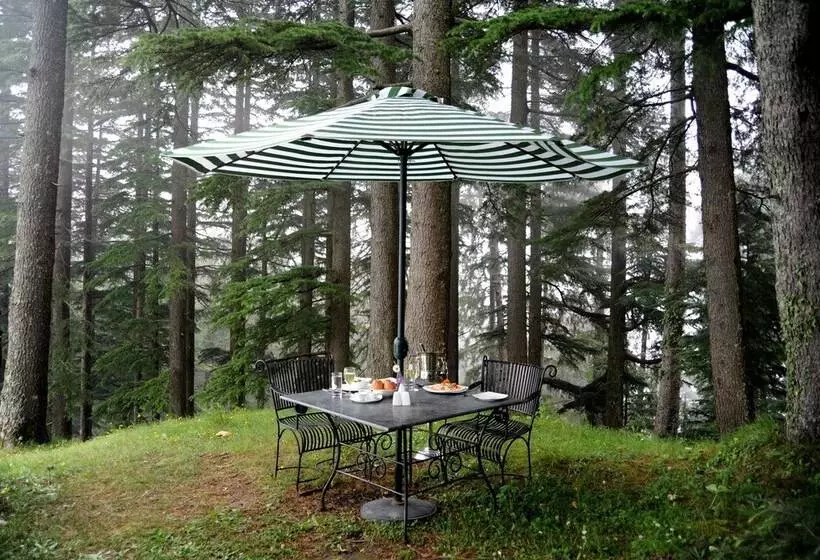 リゾートホテル Aamod Dalhousie