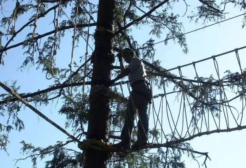 リゾートホテル Aamod Dalhousie