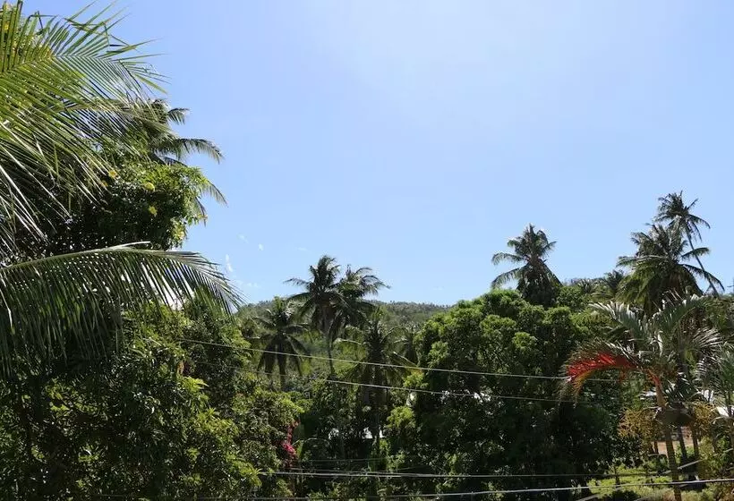 Badladz Beach And Dive Resort