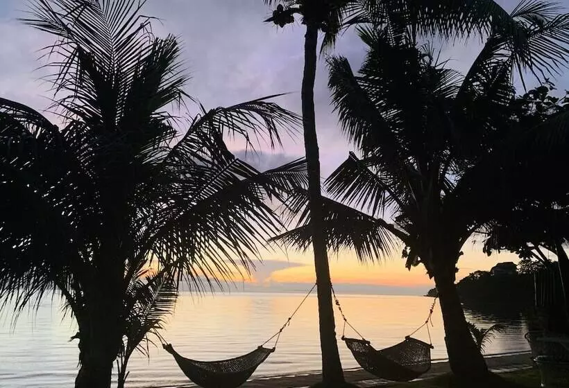 Badladz Beach And Dive Resort