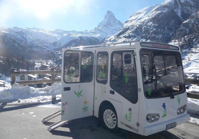 Alpenhotel Fleurs De Zermatt