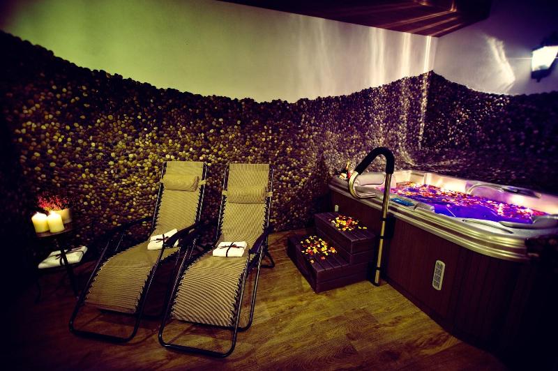 בית מלון כפרי śląsk