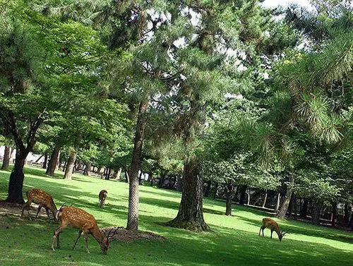 Отель Wellness Asukaji