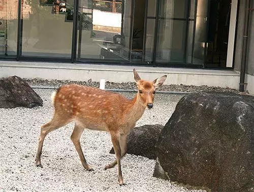 Отель Wellness Asukaji